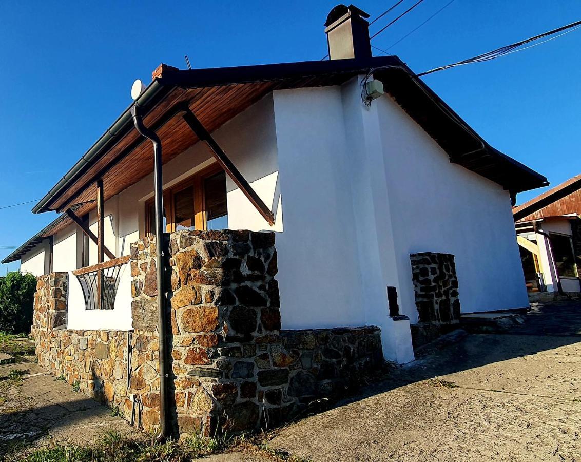 Katerina Restaurant A Penzion 罗兹瓦多夫 外观 照片